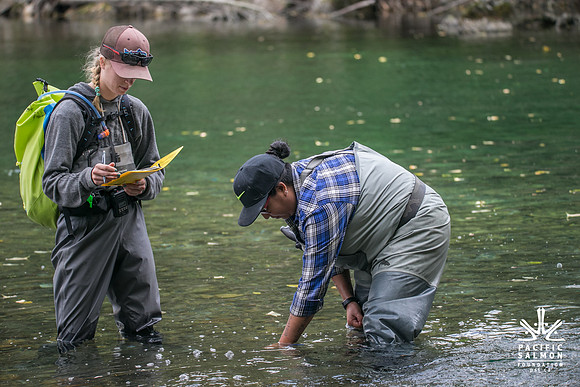PSF-Indian River Watershed visit-20171