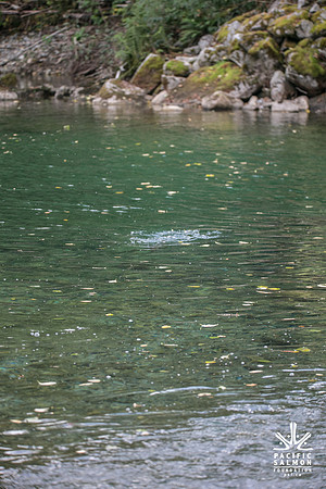 PSF-Indian River Watershed visit-20225