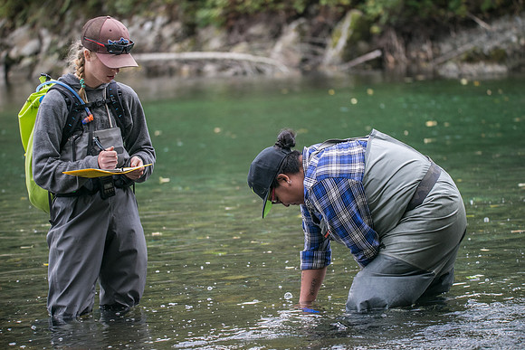 PSF-Indian River Watershed visit-20145