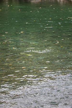 PSF-Indian River Watershed visit-20219