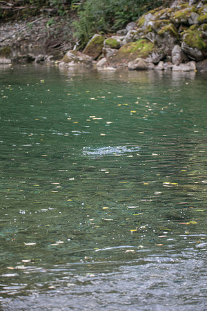PSF-Indian River Watershed visit-20225