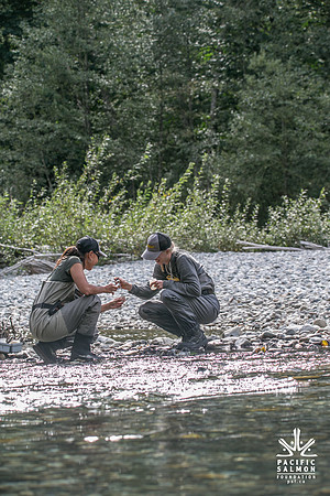 PSF-Indian River Watershed visit-20759