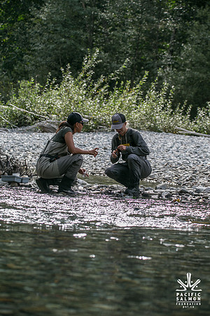 PSF-Indian River Watershed visit-20800