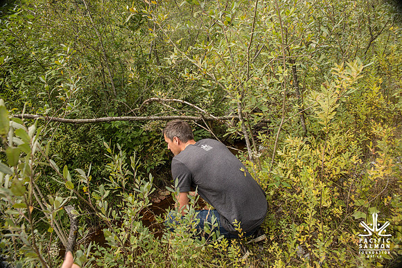 PSF-Indian River Watershed visit-3609