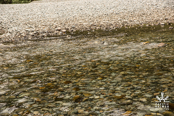 PSF-Indian River Watershed visit-3666