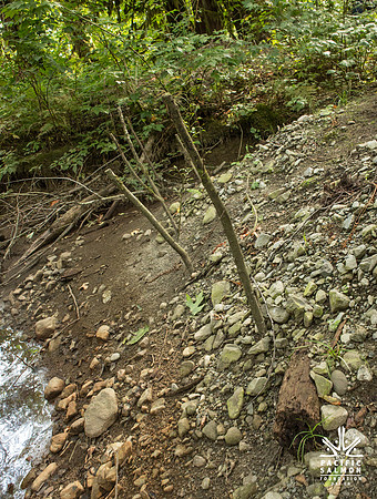 PSF-Indian River Watershed visit-3731