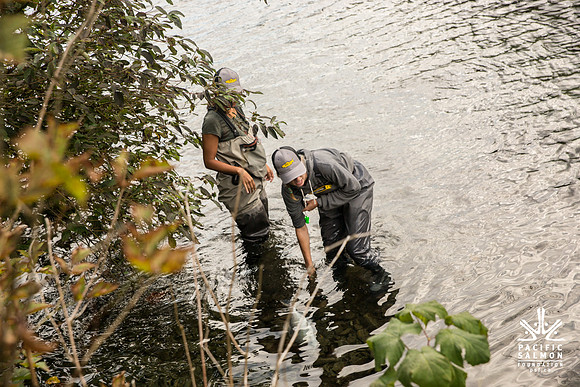 PSF-Indian River Watershed visit-3785