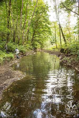 PSF-Indian River Watershed visit-3806