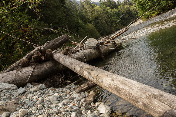 PSF-Indian River Watershed visit-3578