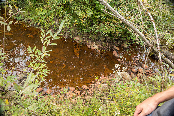 PSF-Indian River Watershed visit-3611