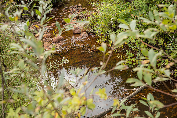 PSF-Indian River Watershed visit-3615
