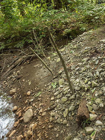 PSF-Indian River Watershed visit-3731