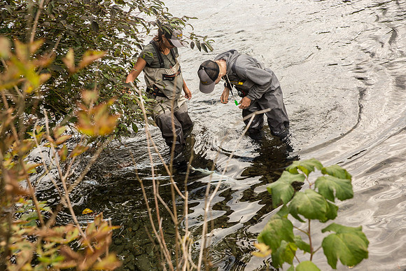 PSF-Indian River Watershed visit-3778