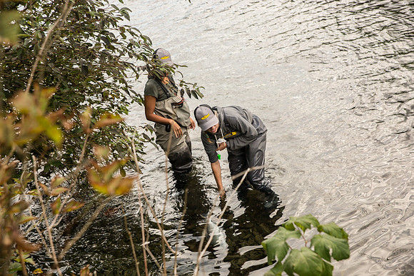 PSF-Indian River Watershed visit-3785