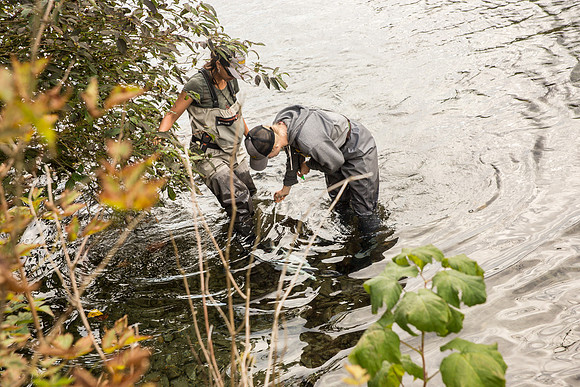 PSF-Indian River Watershed visit-3781
