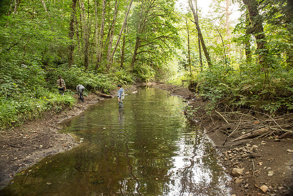 PSF-Indian River Watershed visit-3803