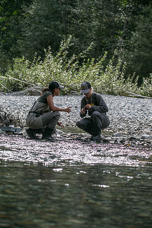 PSF-Indian River Watershed visit-20800