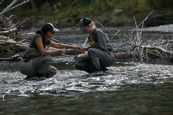 PSF-Indian River Watershed visit-20858