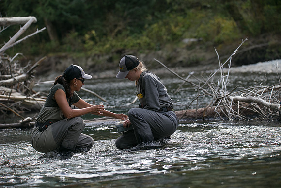 PSF-Indian River Watershed visit-20864