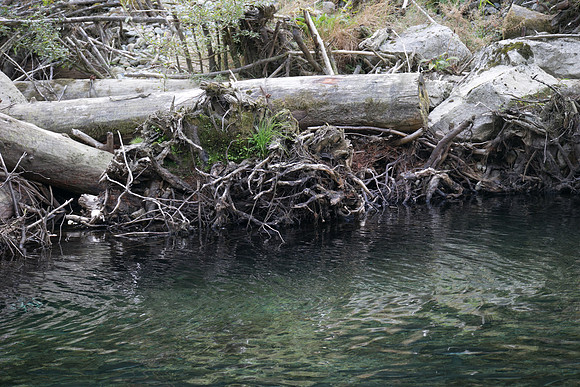 PSF-Indian River Watershed visit-21054