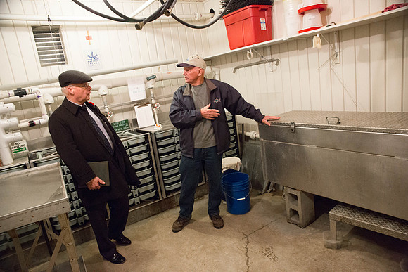 PSF - TYNEHEAD HATCHERY - MP Ken Hardie-81