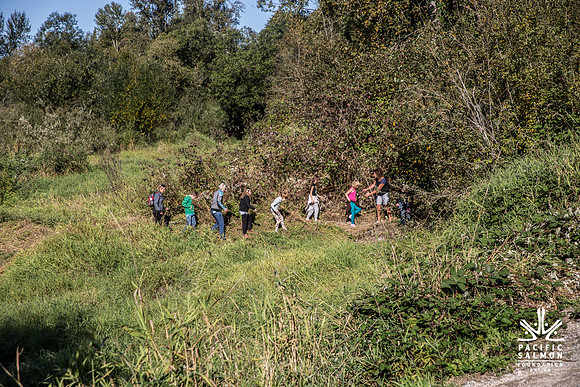 SILVERDALE CREEK WETLANDS- PSF--118