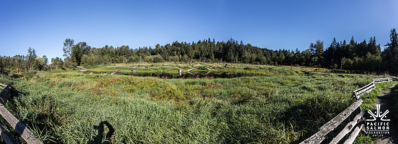 SILVERDALE CREEK WETLANDS- PSF--114