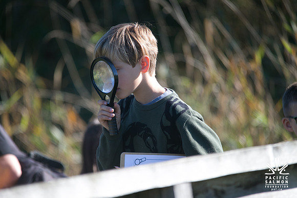 SILVERDALE CREEK WETLANDS- PSF--97