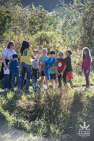 SILVERDALE CREEK WETLANDS- PSF--94