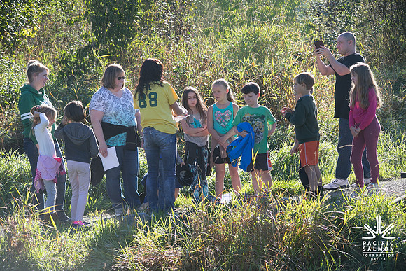 SILVERDALE CREEK WETLANDS- PSF--92