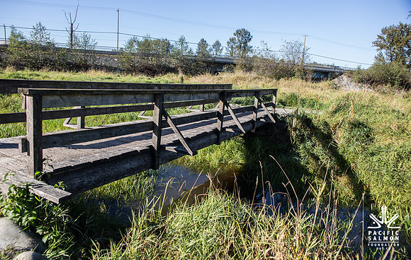 SILVERDALE CREEK WETLANDS- PSF--90