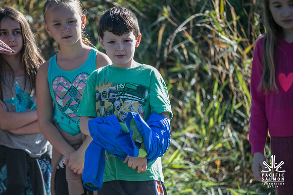 SILVERDALE CREEK WETLANDS- PSF--91