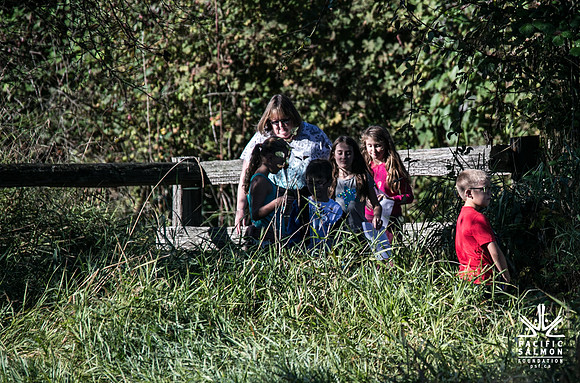 SILVERDALE CREEK WETLANDS- PSF--86