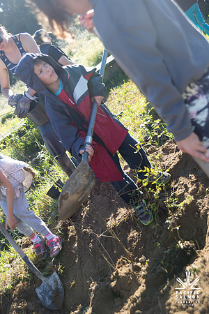 SILVERDALE CREEK WETLANDS- PSF--78