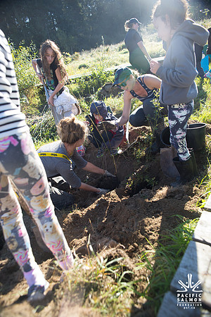 SILVERDALE CREEK WETLANDS- PSF--70