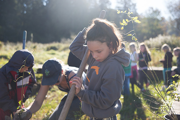 SILVERDALE CREEK WETLANDS- PSF--71