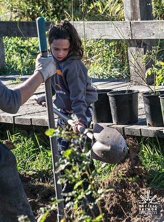 SILVERDALE CREEK WETLANDS- PSF--57