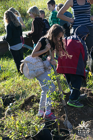 SILVERDALE CREEK WETLANDS- PSF--56