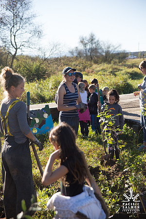 SILVERDALE CREEK WETLANDS- PSF--55