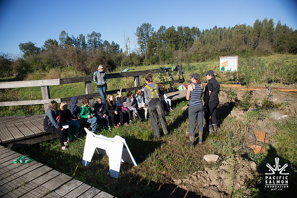 SILVERDALE CREEK WETLANDS- PSF--49