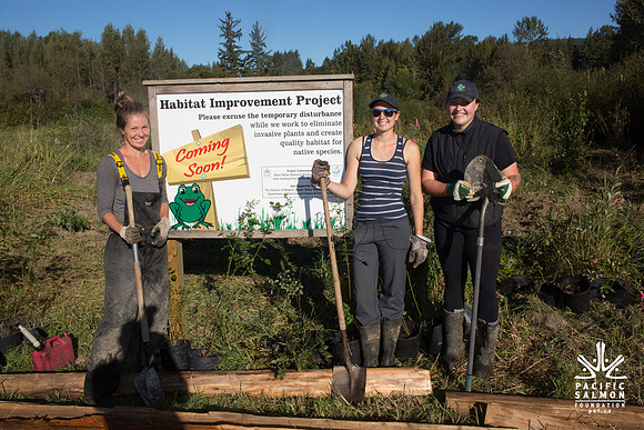 SILVERDALE CREEK WETLANDS- PSF--45