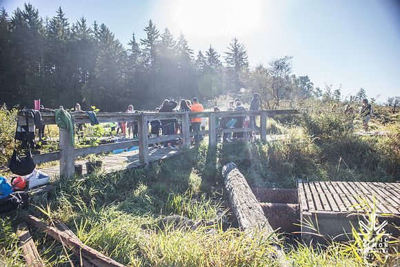 SILVERDALE CREEK WETLANDS- PSF--44