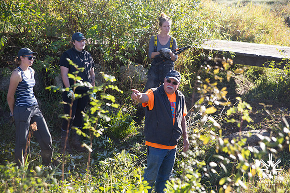 SILVERDALE CREEK WETLANDS- PSF--41