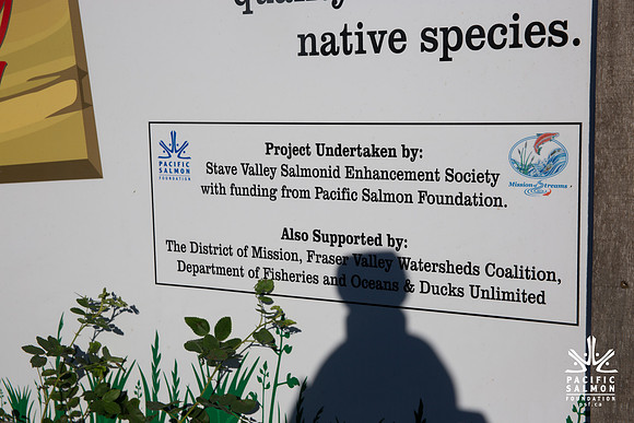 SILVERDALE CREEK WETLANDS- PSF--40