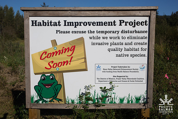 SILVERDALE CREEK WETLANDS- PSF--39