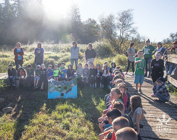 SILVERDALE CREEK WETLANDS- PSF--32
