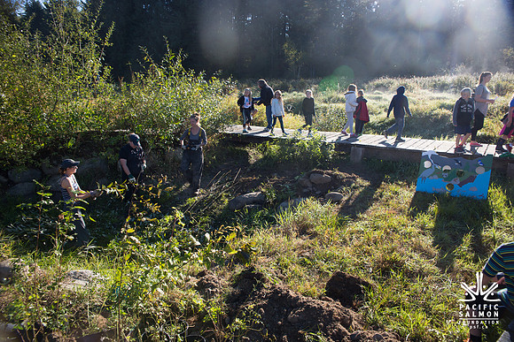 SILVERDALE CREEK WETLANDS- PSF--25