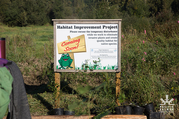 SILVERDALE CREEK WETLANDS- PSF--24
