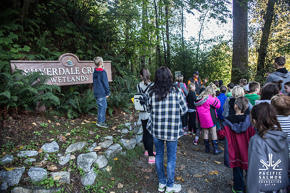 SILVERDALE CREEK WETLANDS- PSF-