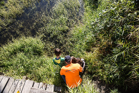 SILVERDALE CREEK WETLANDS- PSF-119